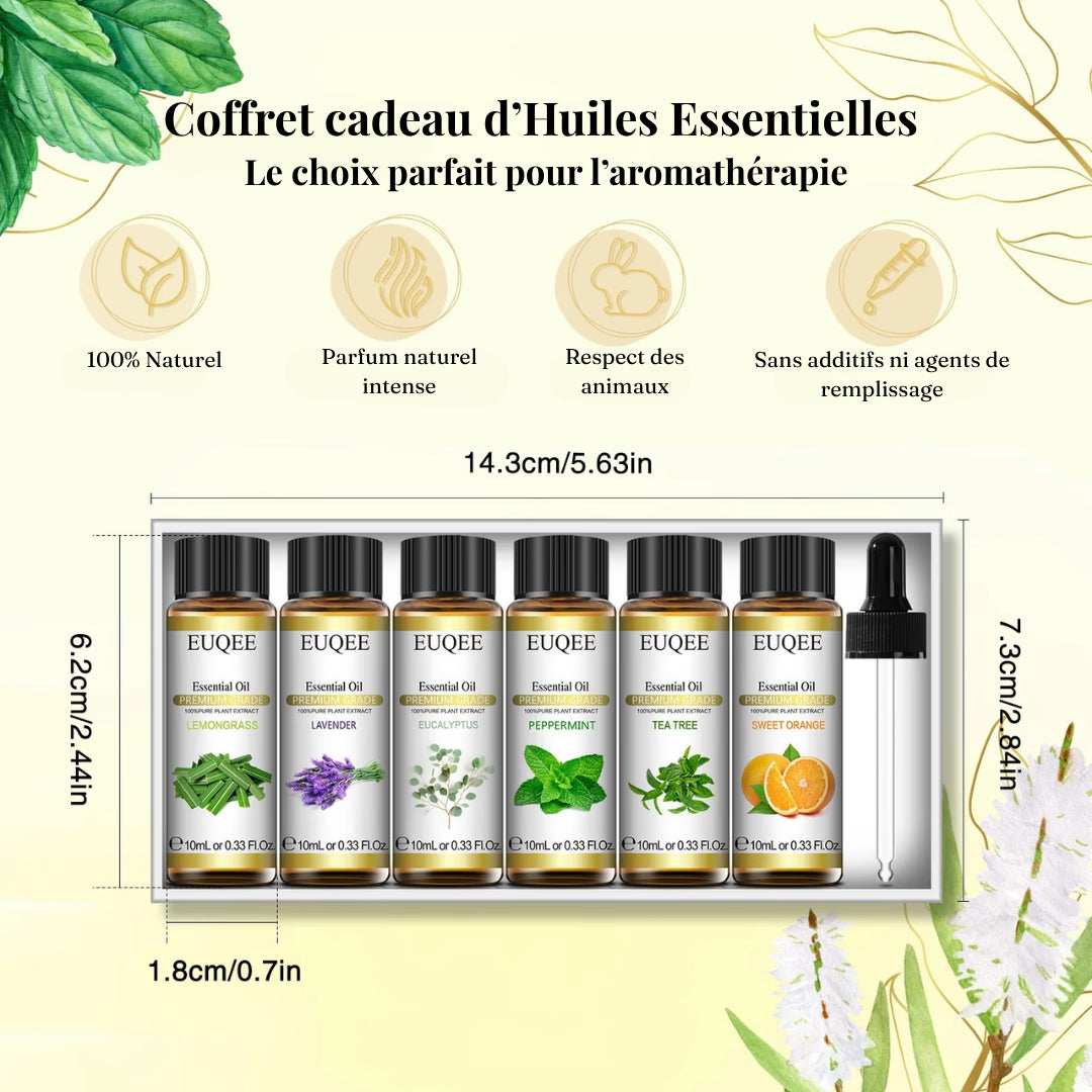 Coffret Huiles Essentielles – Évasion Classique (6 x 10ml) | Aromathérapie & Bien-être