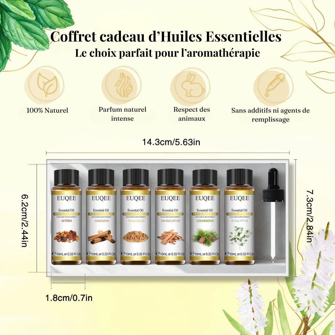 Coffret Huiles Essentielles – Essence Boisée (6 x 10ml) | Aromathérapie & Bien-être