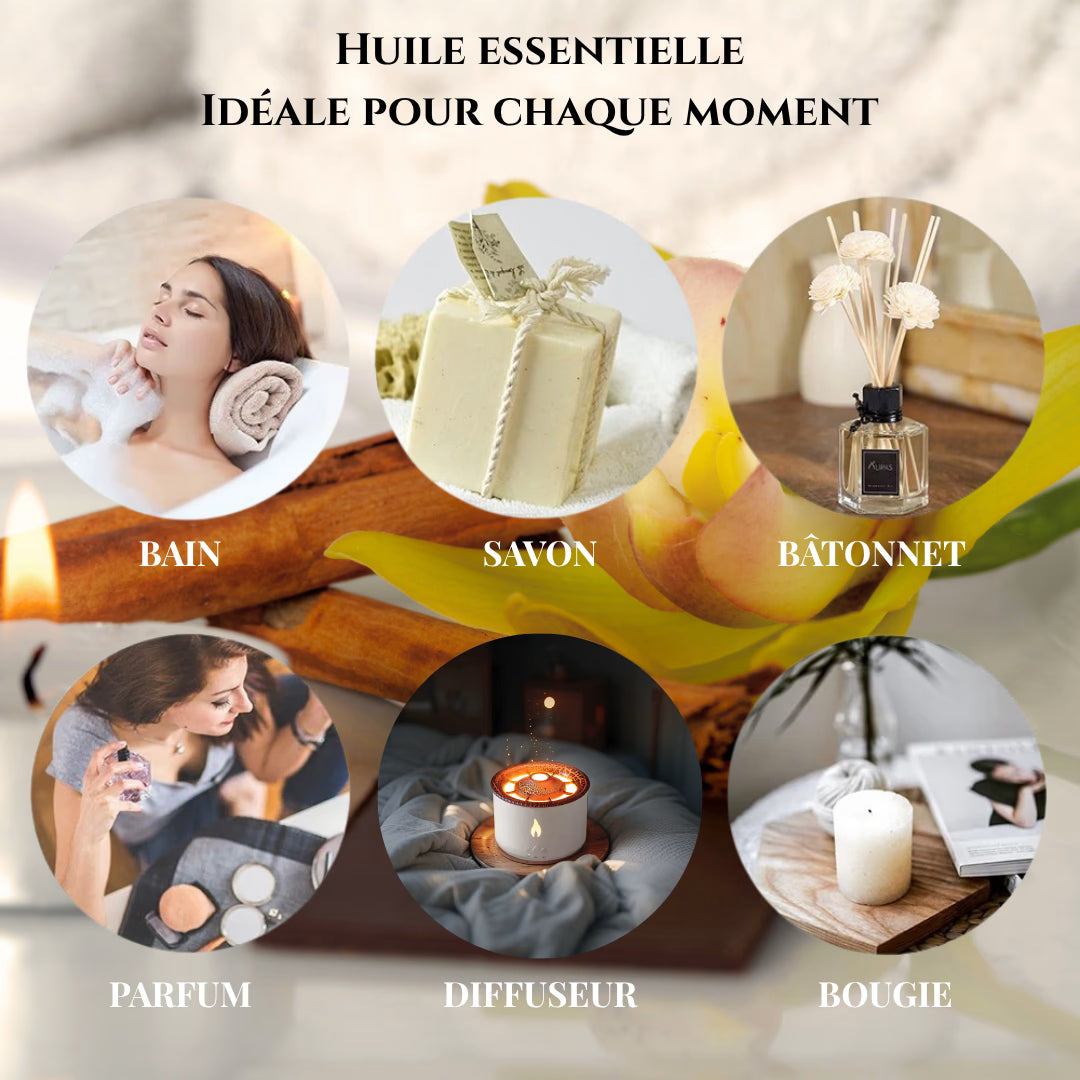Coffret Huiles Essentielles – Élégance Sensorielle (12 x 5ml) | Aromathérapie & Bien-être