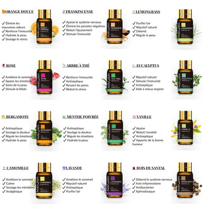 Coffret Huiles Essentielles – Luxe Sensoriel (20 x 5ml) | Aromathérapie & Bien-être