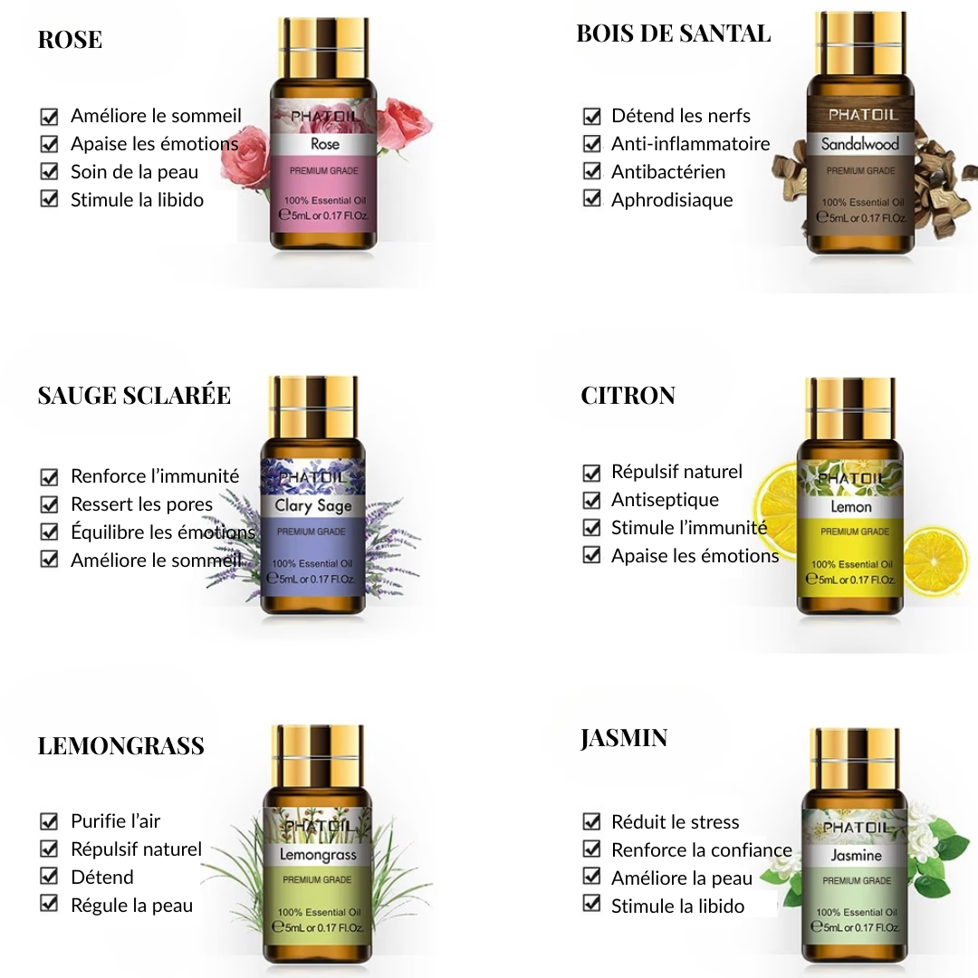 Coffret Huiles Essentielles – Élégance Sensorielle (12 x 5ml) | Aromathérapie & Bien-être