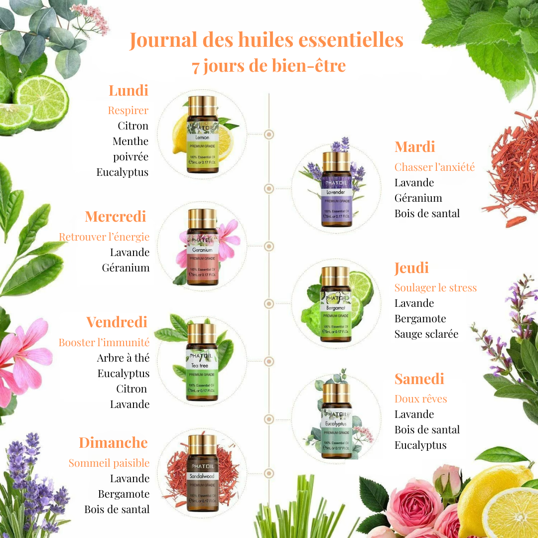 Coffret Huiles Essentielles – Élégance Sensorielle (12 x 5ml) | Aromathérapie & Bien-être