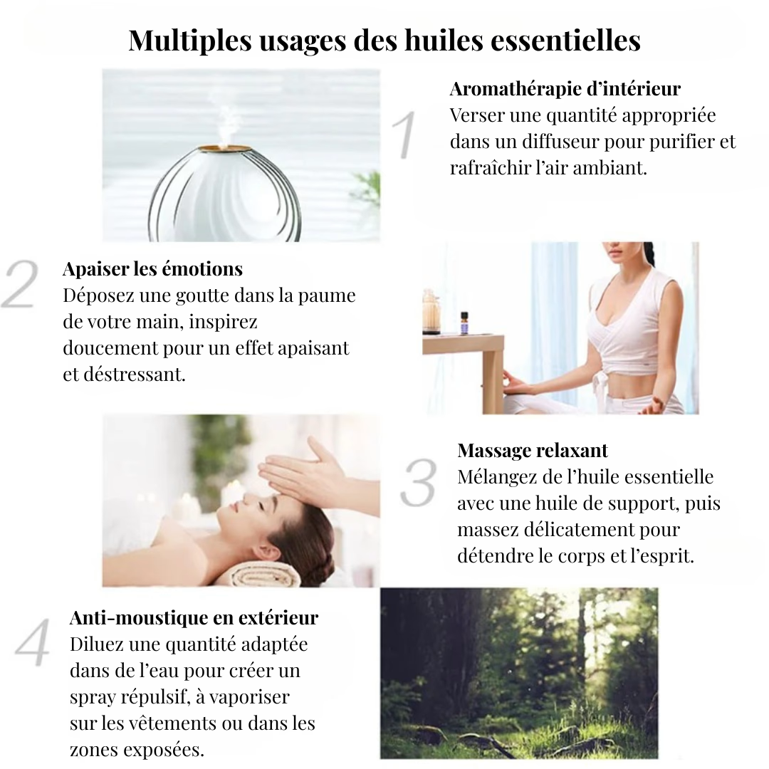 Coffret Huiles Essentielles – Équilibre Parfait (15 x 5ml) | Aromathérapie & Bien-être