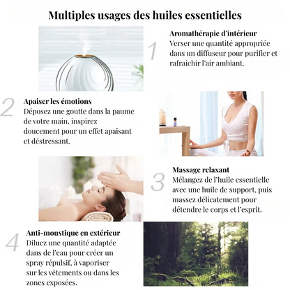 Coffret Huiles Essentielles – Équilibre Parfait (15 x 5ml) | Aromathérapie & Bien-être