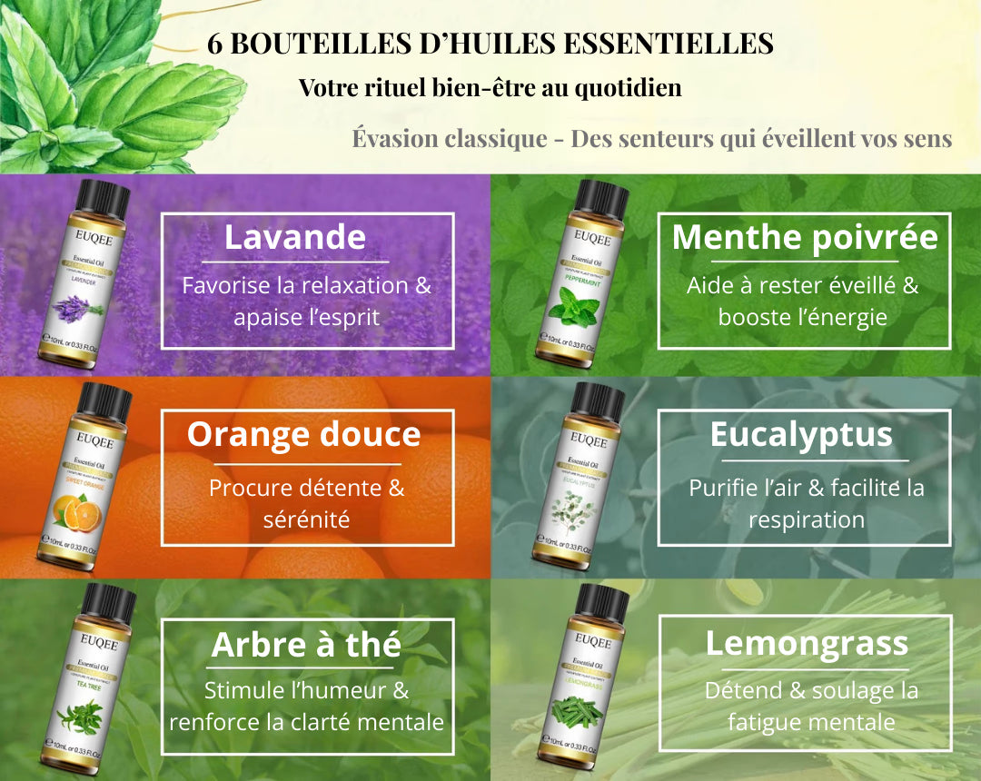 Coffret Huiles Essentielles – Évasion Classique (6 x 10ml) | Aromathérapie & Bien-être