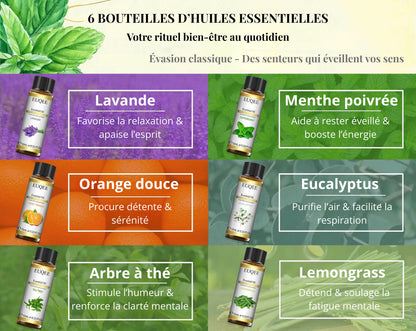 Coffret Huiles Essentielles – Évasion Classique (6 x 10ml) | Aromathérapie & Bien-être