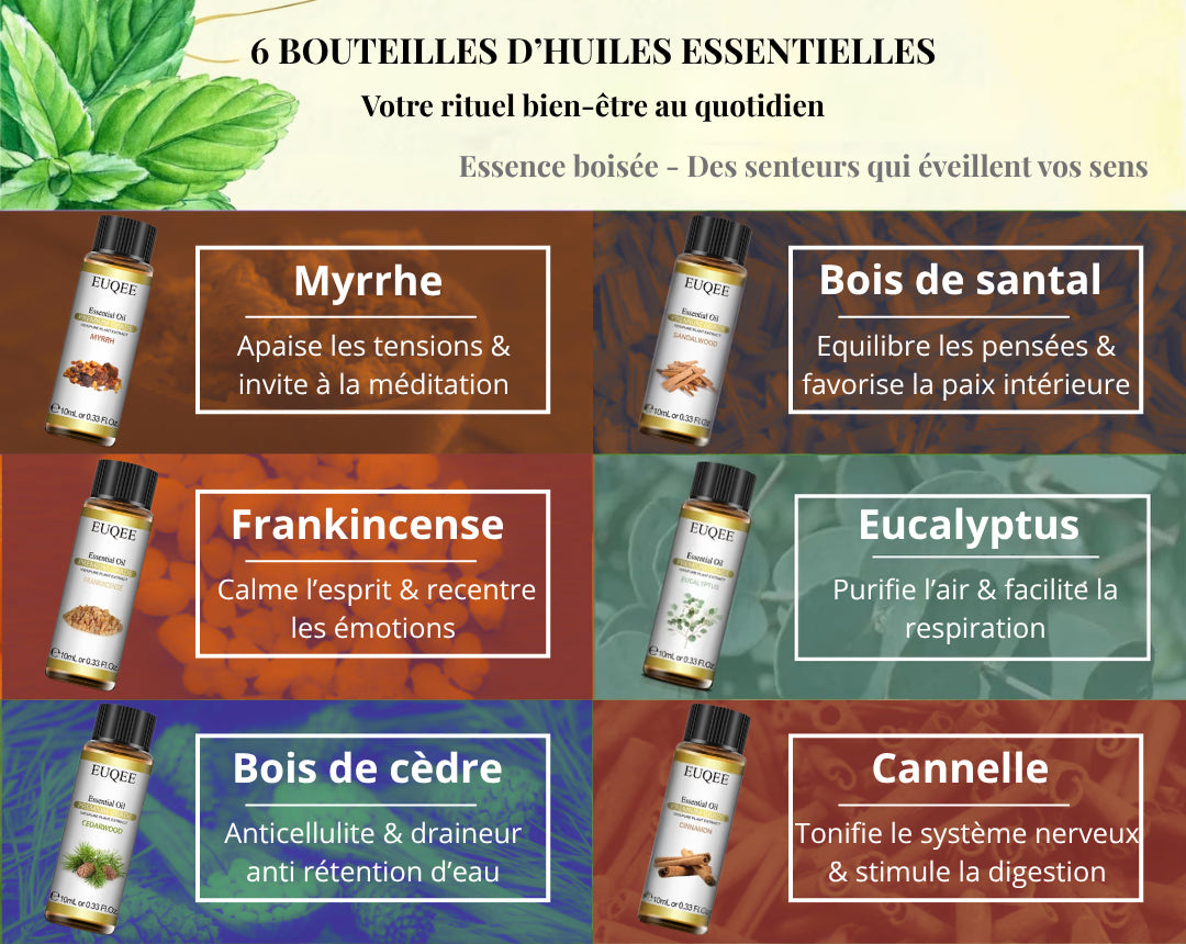 Coffret Huiles Essentielles – Essence Boisée (6 x 10ml) | Aromathérapie & Bien-être