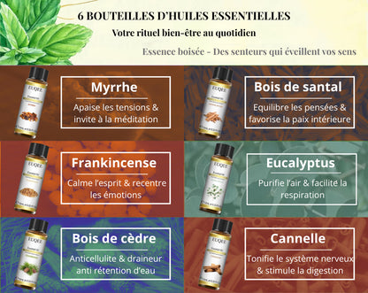 Coffret Huiles Essentielles – Essence Boisée (6 x 10ml) | Aromathérapie & Bien-être