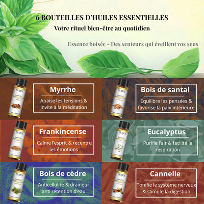 Coffret Huiles Essentielles – Essence Boisée (6 x 10ml) | Aromathérapie & Bien-être