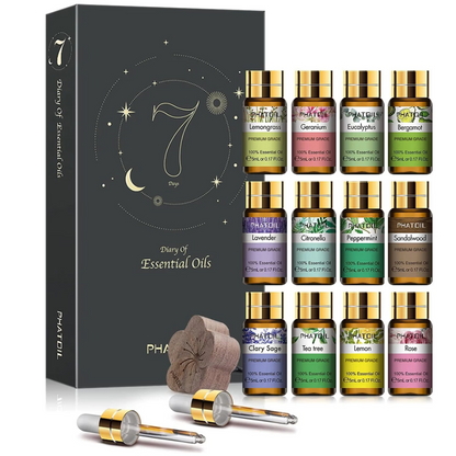 Coffret Huiles Essentielles – Élégance Sensorielle (12 x 5ml) | Aromathérapie & Bien-être