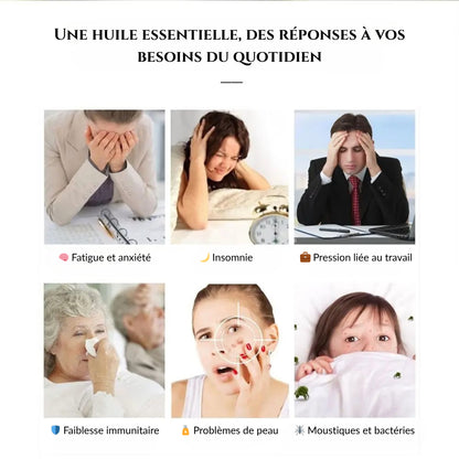 Coffret Huiles Essentielles – Équilibre Parfait (15 x 5ml) | Aromathérapie & Bien-être