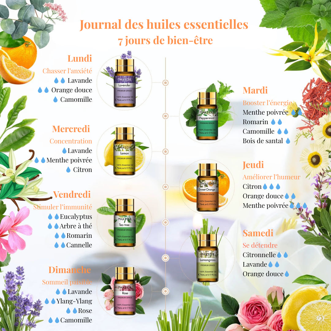 Coffret Huiles Essentielles – Équilibre Parfait (15 x 5ml) | Aromathérapie & Bien-être