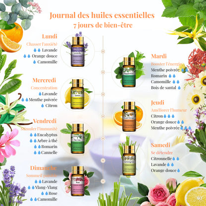 Coffret Huiles Essentielles – Équilibre Parfait (15 x 5ml) | Aromathérapie & Bien-être