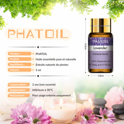 Coffret Huiles Essentielles – Équilibre Parfait (15 x 5ml) | Aromathérapie & Bien-être