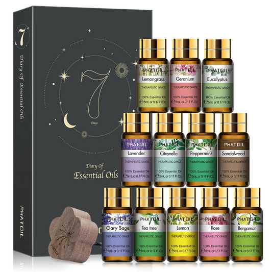 Coffret Huiles Essentielles – Élégance Sensorielle (12 x 5ml) | Aromathérapie & Bien-être