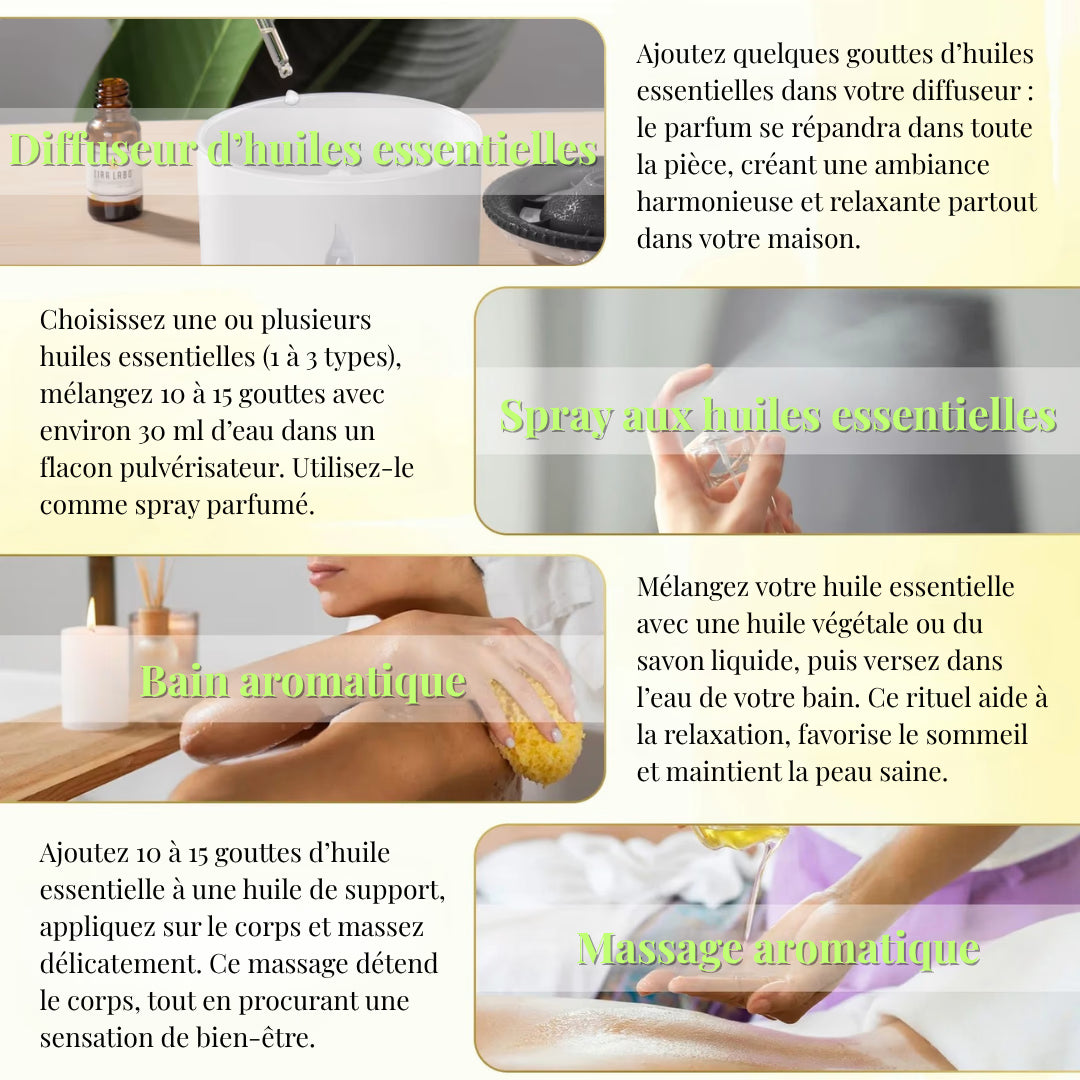 Coffret Huiles Essentielles – Essence Boisée (6 x 10ml) | Aromathérapie & Bien-être