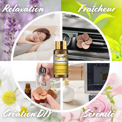 Coffret Huiles Essentielles – Équilibre Parfait (15 x 5ml) | Aromathérapie & Bien-être