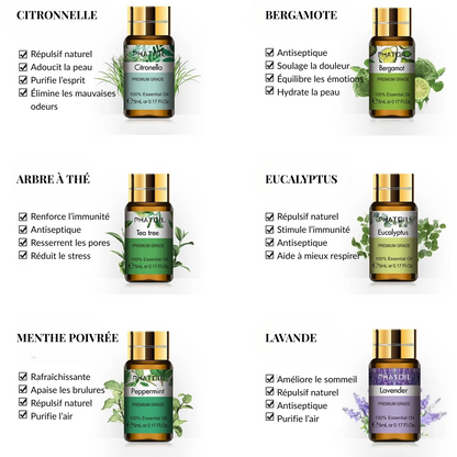Coffret Huiles Essentielles – Élégance Sensorielle (12 x 5ml) | Aromathérapie & Bien-être